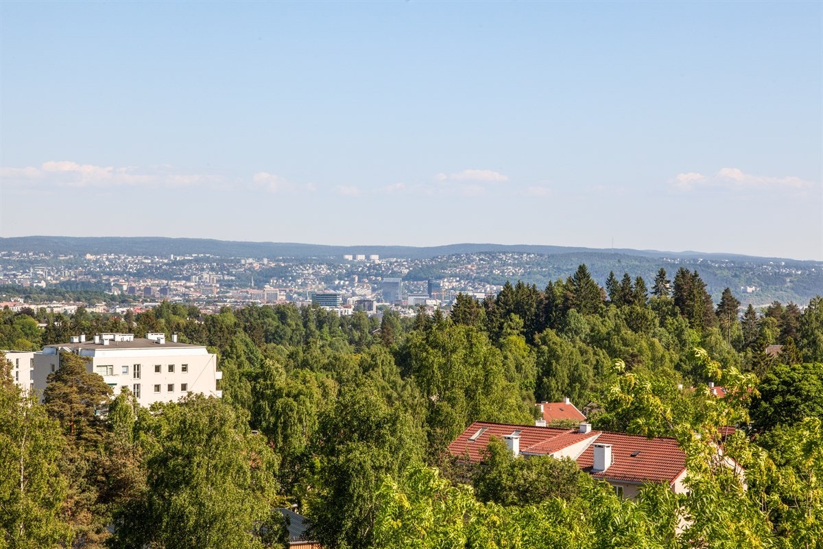 Balkongen vender mot sydøst og har ingen gjenboere. Galleribilde
