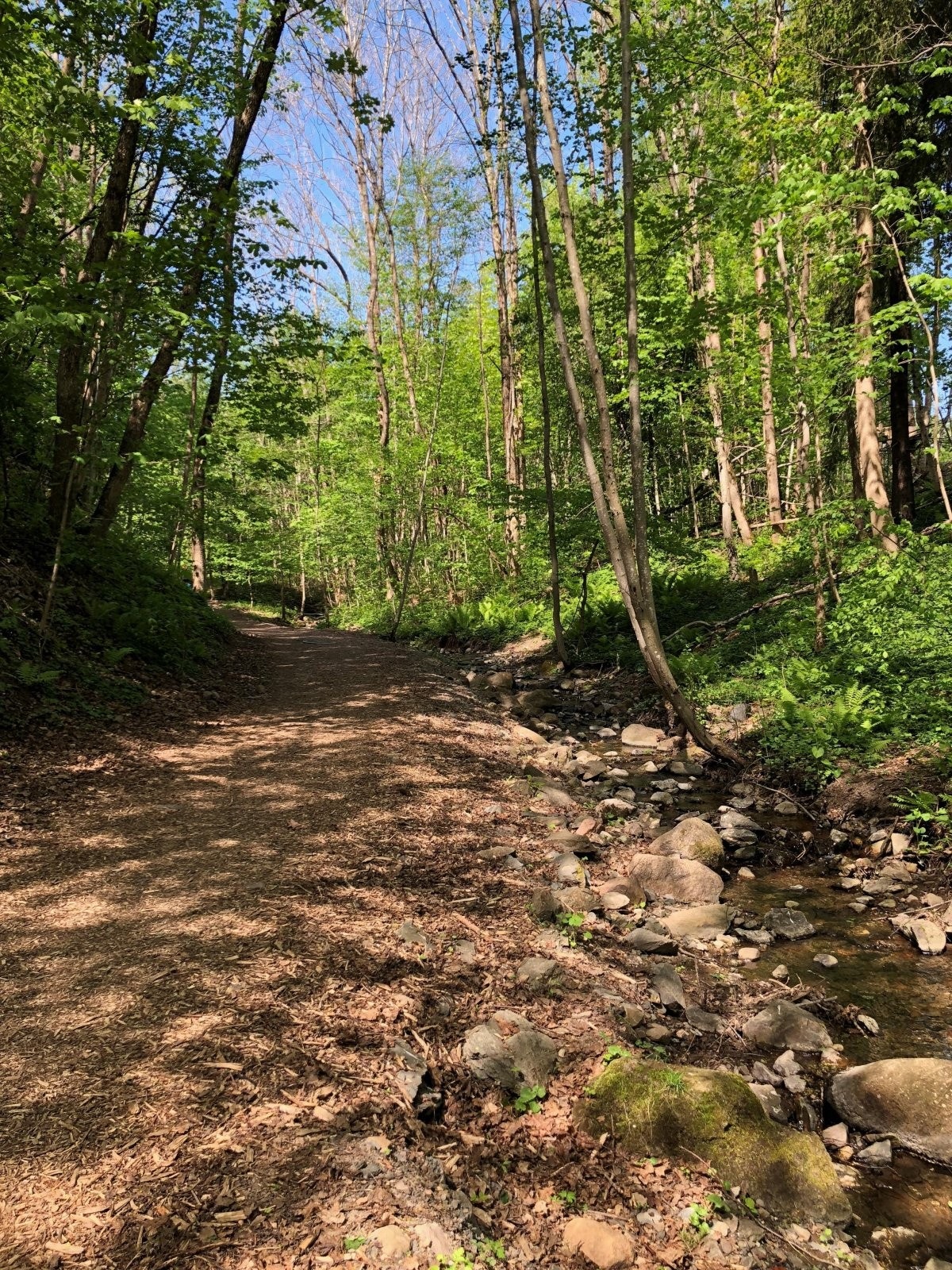 Nærområdet byr på flere flotte turer i skog og mark. Galleribilde