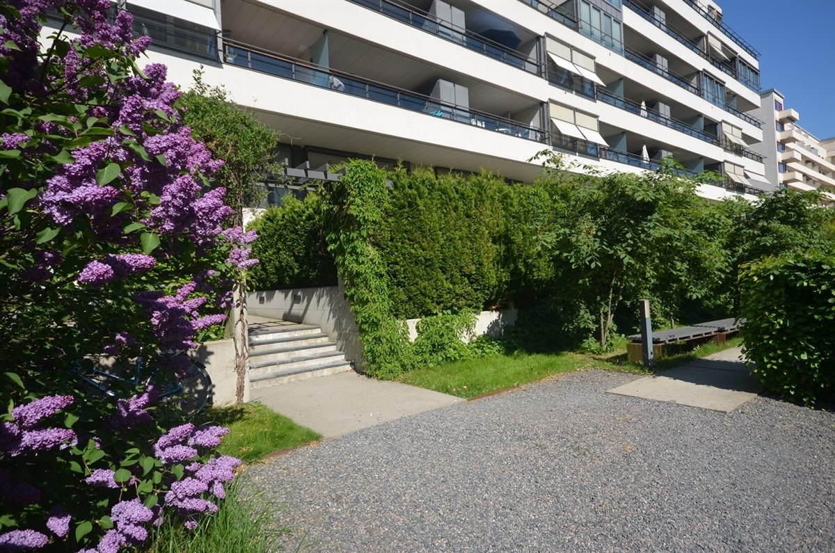 Hekk rundt haven som sperrer for innsyn. Galleribilde