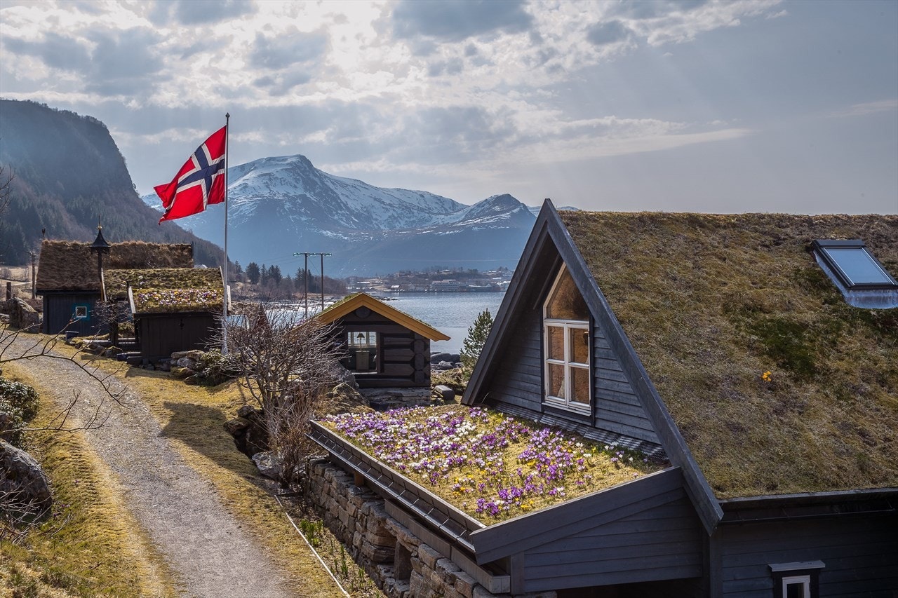 Velkommen til Pileberg! Galleribilde