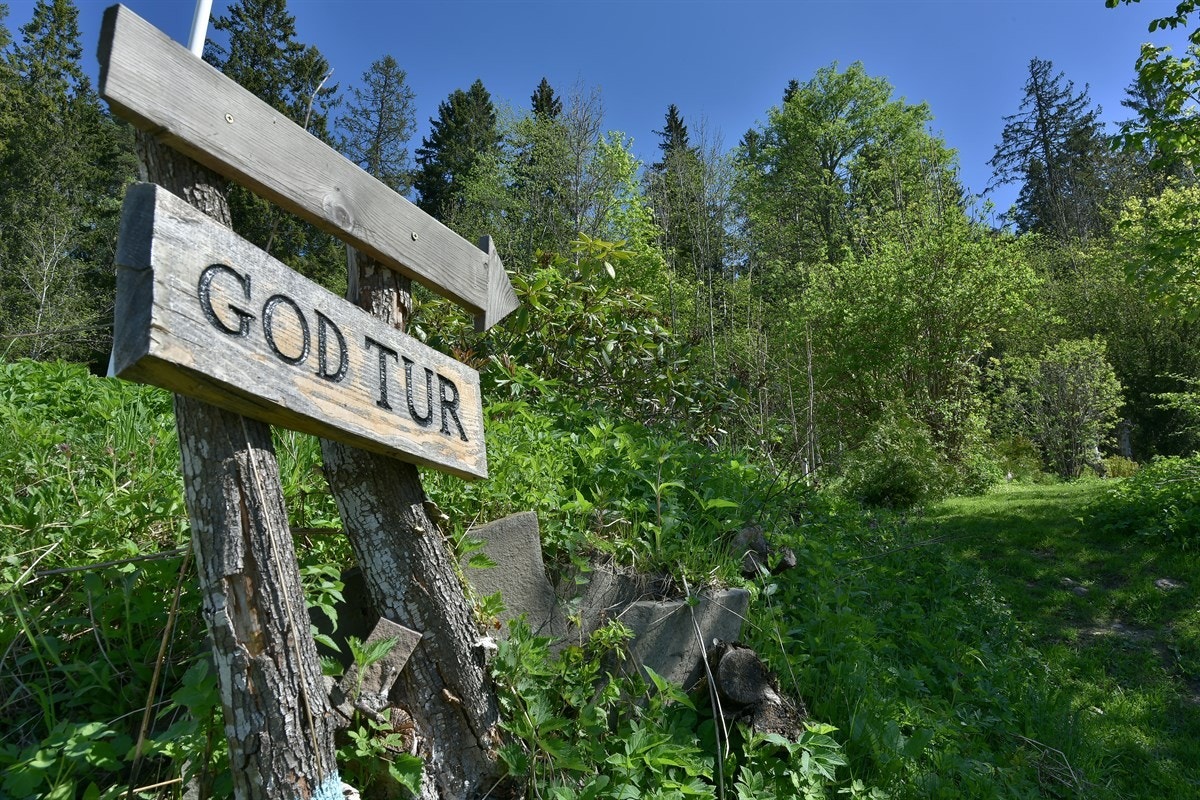 Skog og mark rett ved eiendommen. Galleribilde