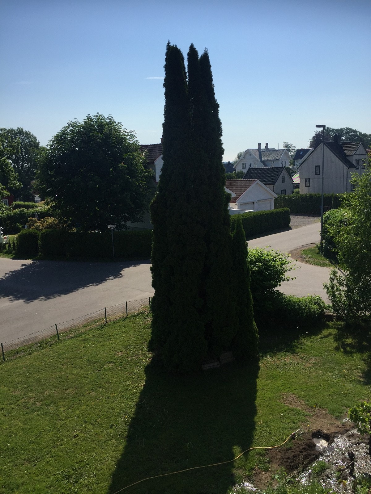 Utsikt Galleribilde