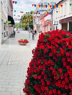 Gågaten i Halden Galleribilde
