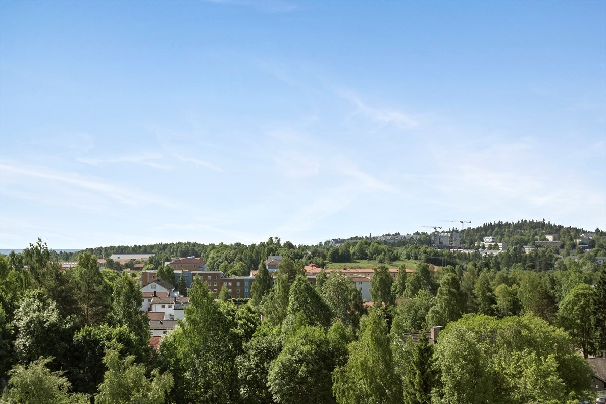 Fin utsikt. Galleribilde