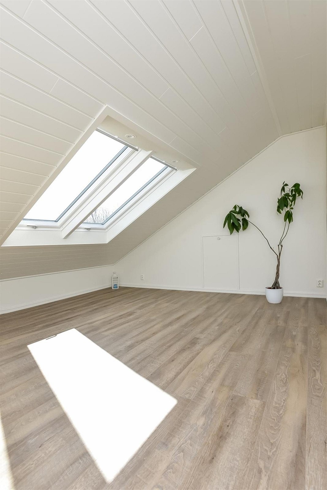 Loftstue Galleribilde