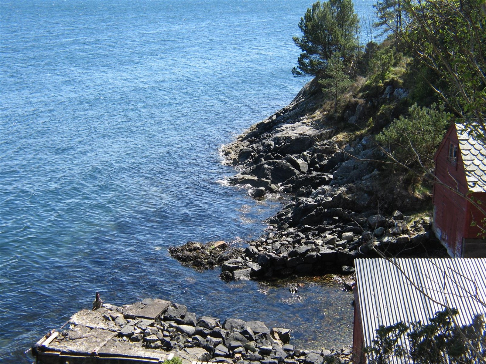 Nausttomt. Galleribilde