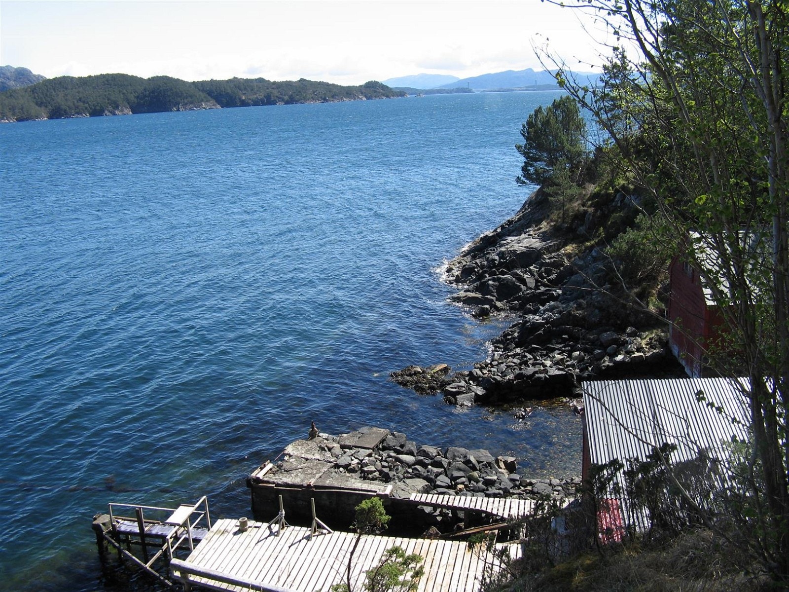 Nausttomt Galleribilde