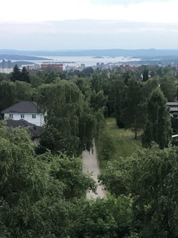 Utsikten fra leiligheten over Oslofjorden Galleribilde