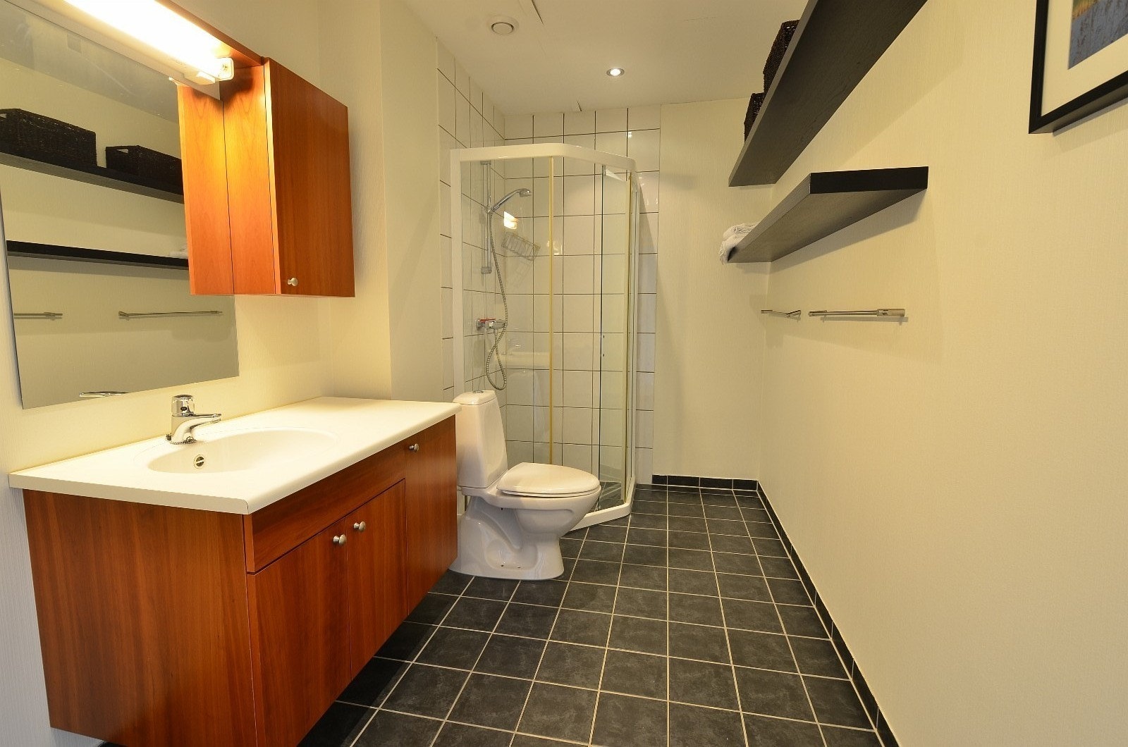 Large bathroom Galleribilde