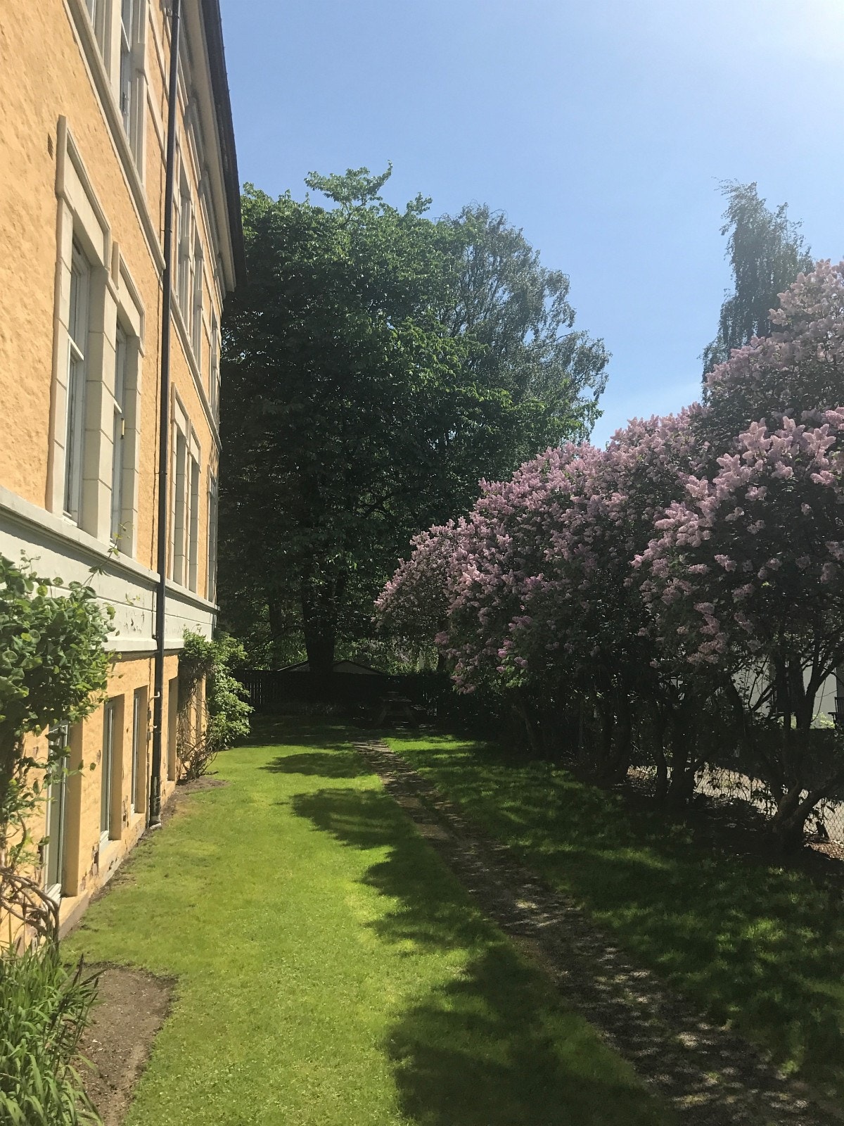 Felles hage Galleribilde