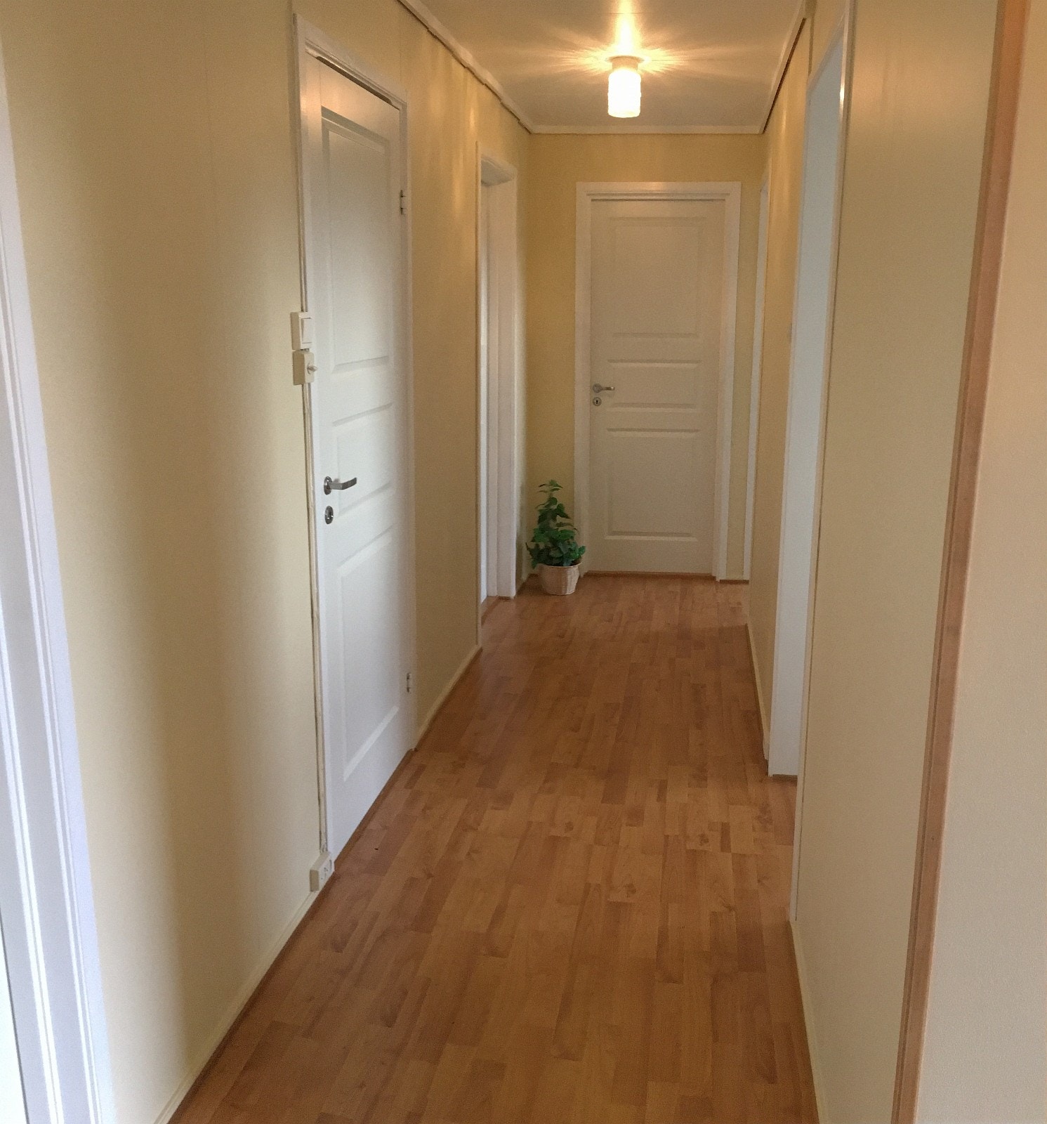 Gang med tilgang til soverom, bad og boder. Nyoppussede flater (gulv, tak, vegger og nye dører) Galleribilde