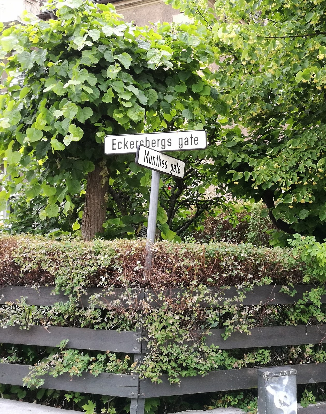 Quite area. Lots of trees/green. Galleribilde