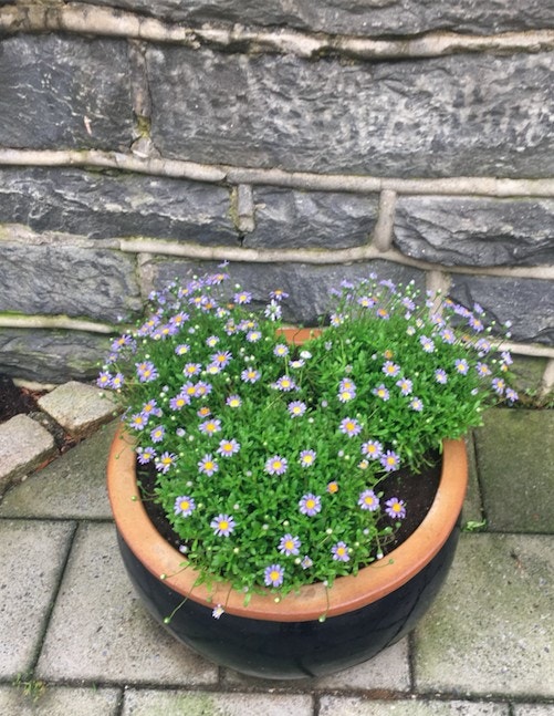 Inngang Galleribilde