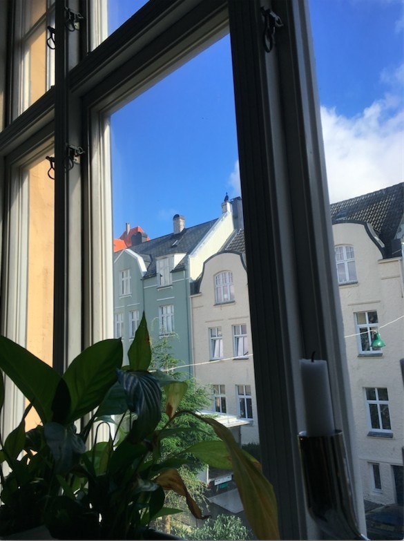 Utsikt stuevindu Galleribilde