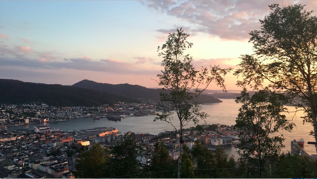 Nærområde Fløyen Galleribilde