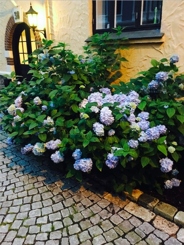 Inngang Galleribilde