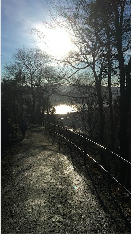 Nærområde Fløien Galleribilde