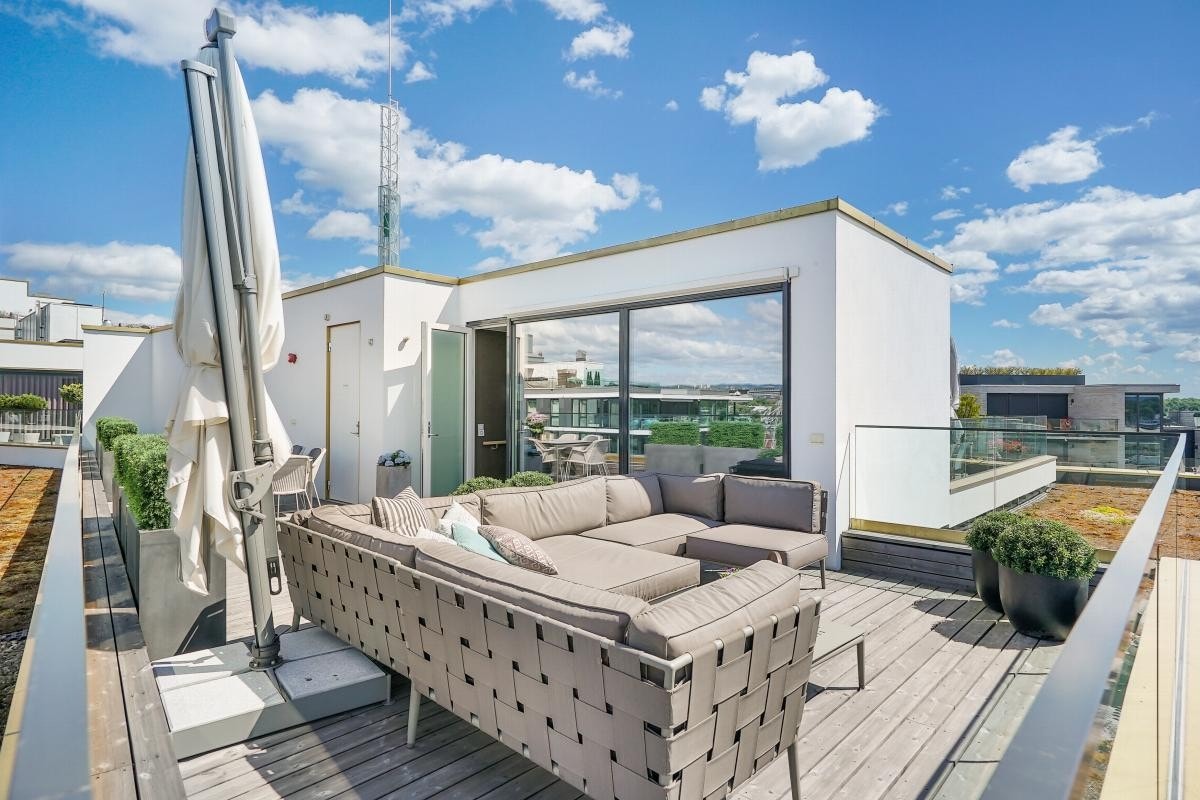 Takterrassen Galleribilde