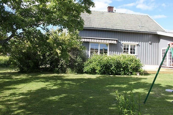Hage nedenfra Galleribilde