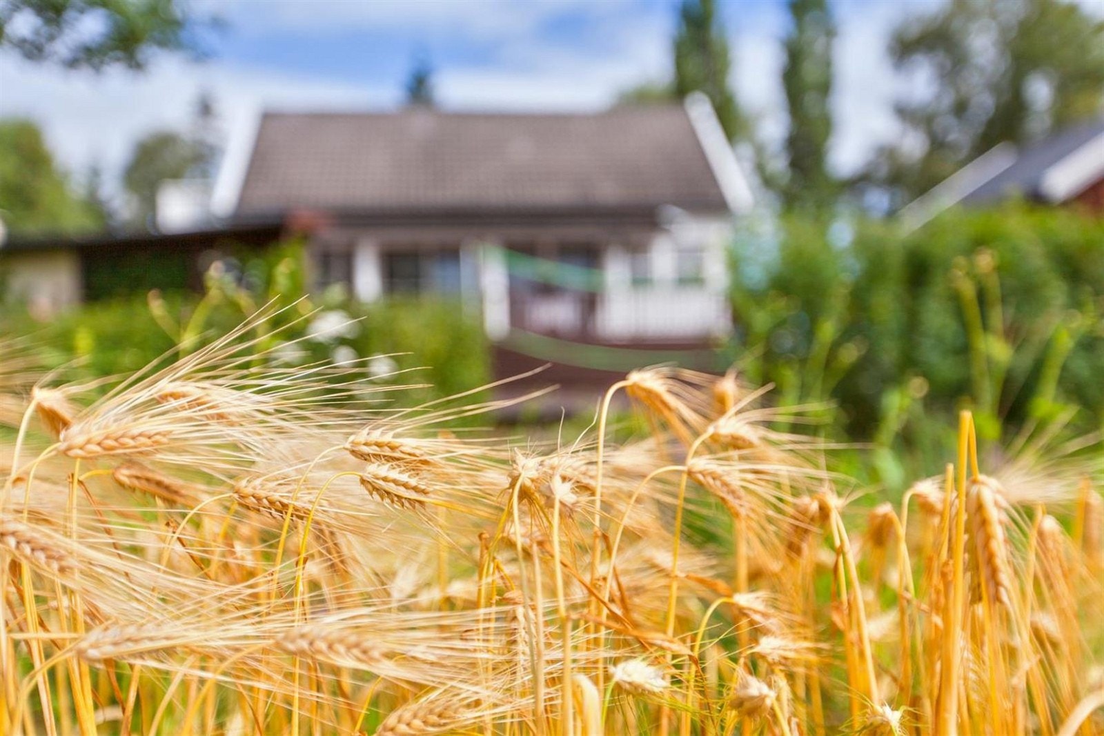 Eiendommen ligger plassert i åpent åkerlandskap, med utsikt til landlig idyll og skogsområder kun 6 til 8 min fra Ski sentrum. Galleribilde