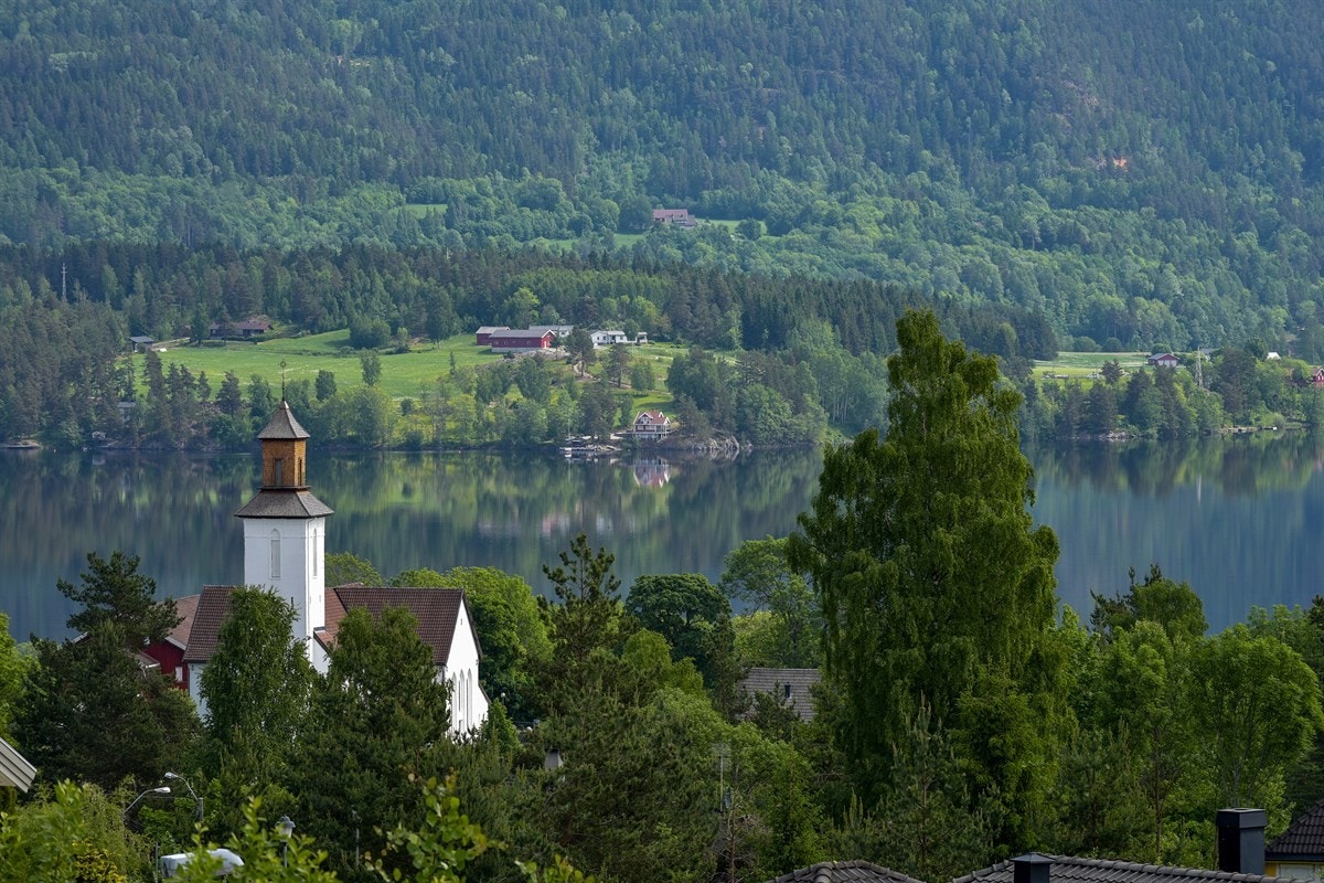 Naturskjønn utsikt til skogkledte åser, Fiskumvannet og omkringliggende bebyggelse. Galleribilde