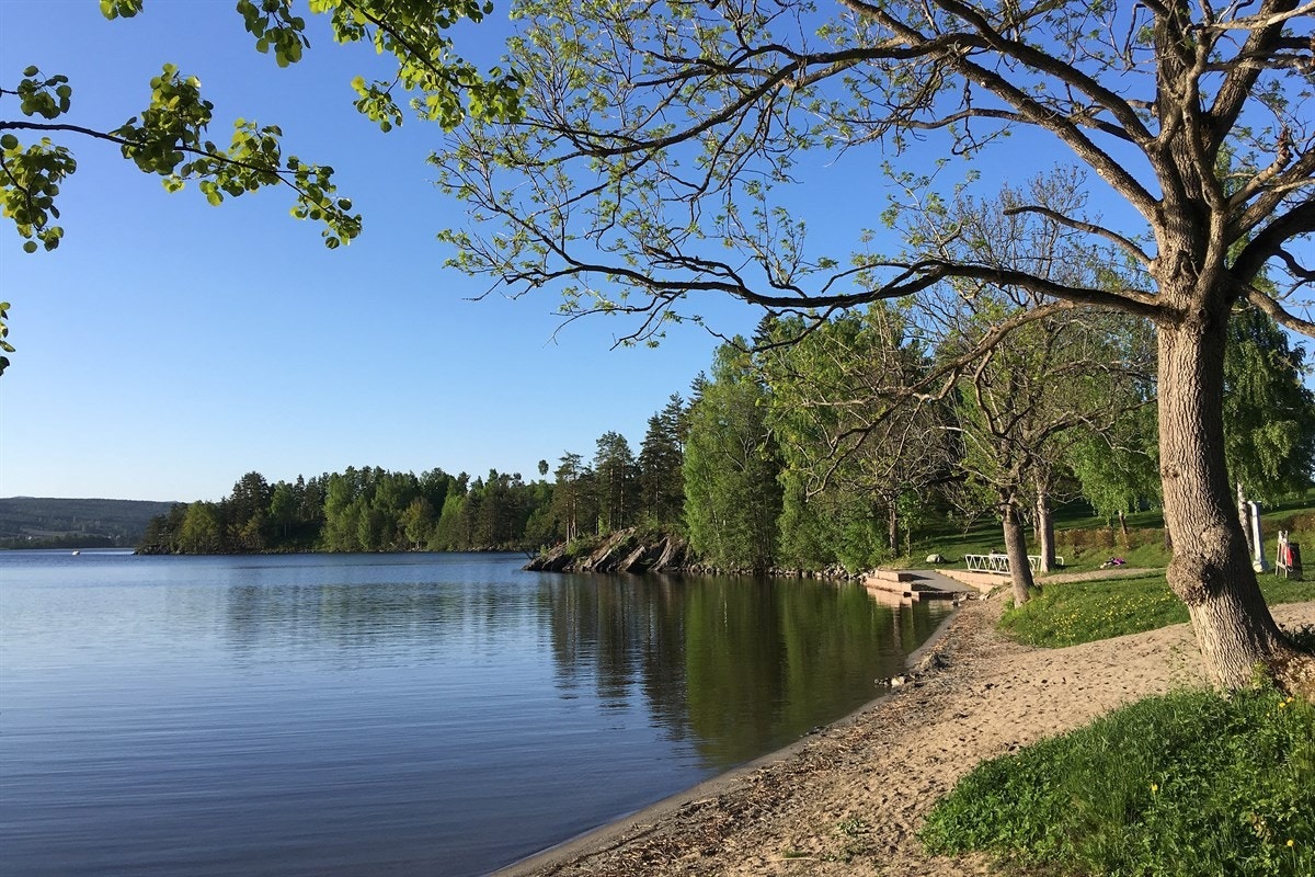 Sundhaugen er et stort friluftsområde som ligger idyllisk plassert mellom Fiskumvannet og Eikeren. Galleribilde