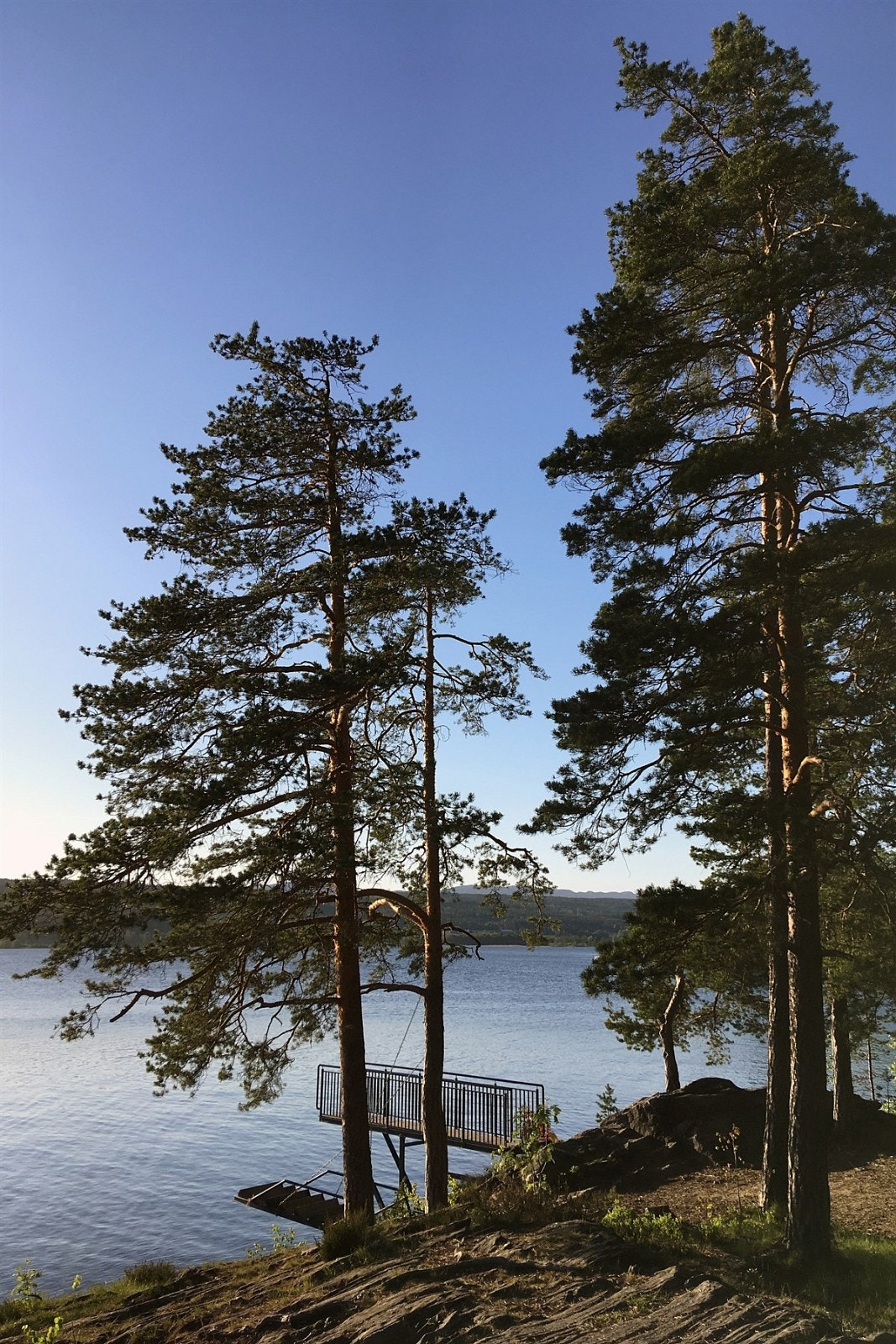 Badeplass på Sundhaugen. Galleribilde