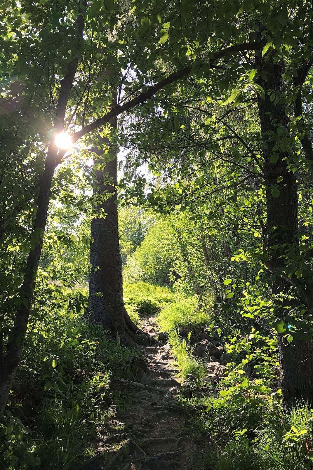 Darbu byr på mange flotte turområder rett utenfor døra. Blant annet anbefales den vakre turstien langs elva som fører ned til Fiskum Gamle Kirke. Galleribilde