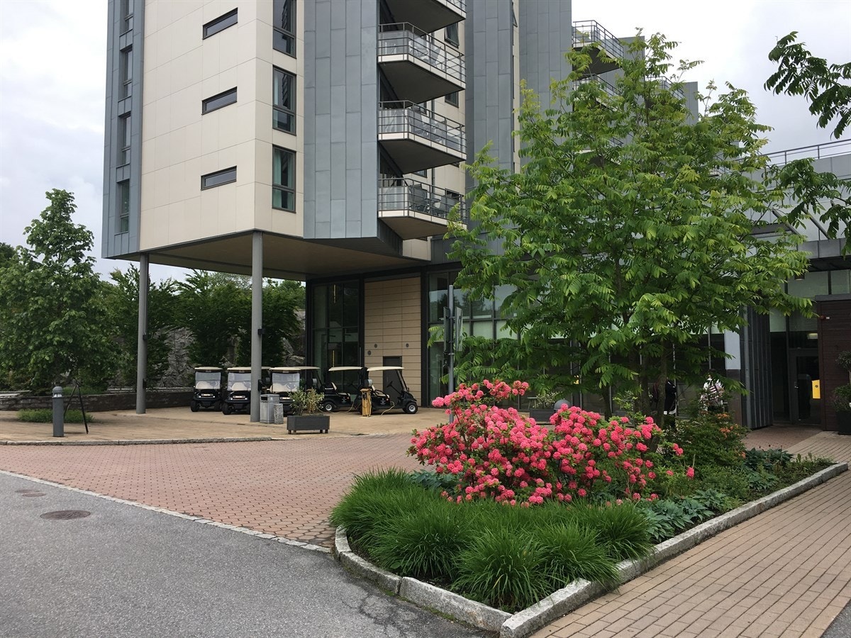 Del av det forsegjorte utearealet på hotellet. Galleribilde