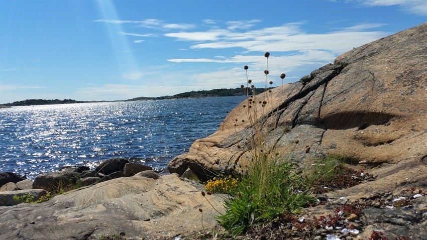 Nydelig skjæregård i umiddelbar nærhet Galleribilde