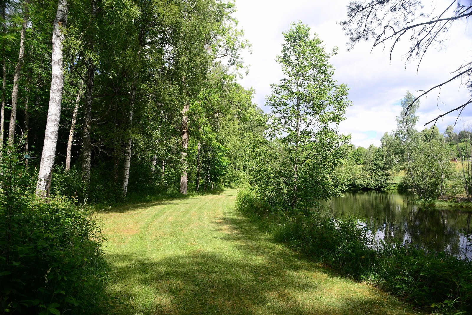 Gangvei rundt innsjøen for idylliske turer Galleribilde