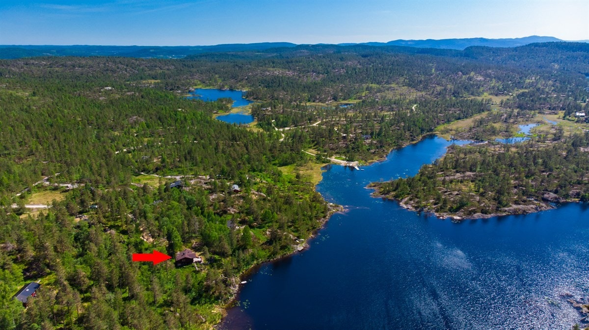 Dronebilde av området Galleribilde