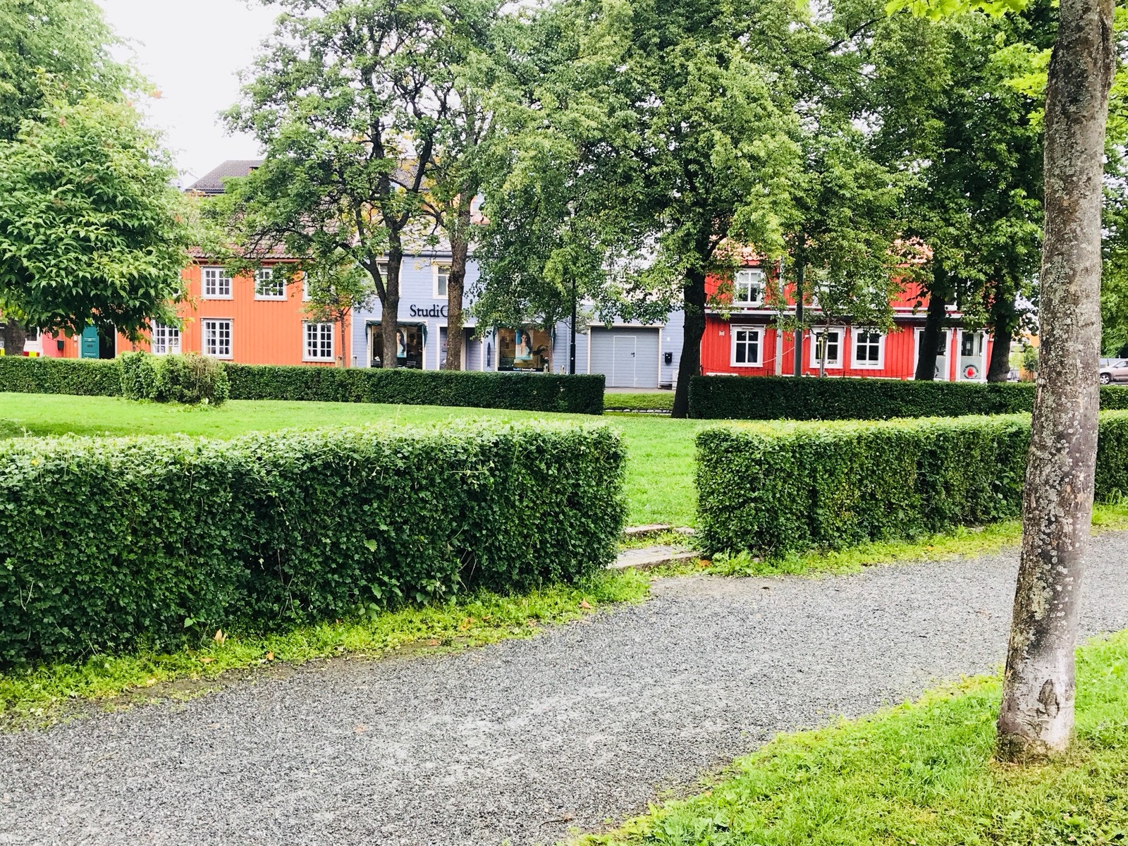 Ilaparken rett ved. Galleribilde