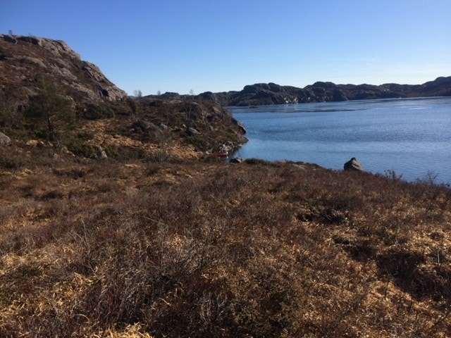 Bilde fra deler av tomten. Galleribilde