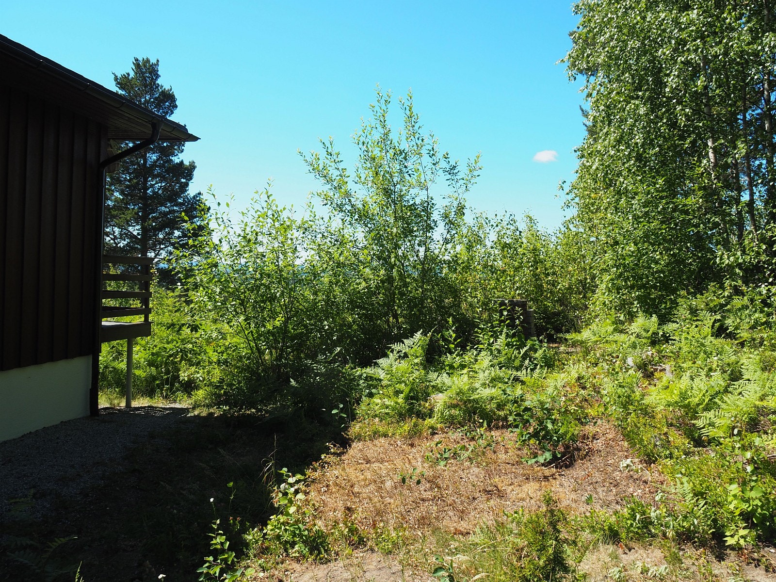 Nærhet til skog og mark Galleribilde