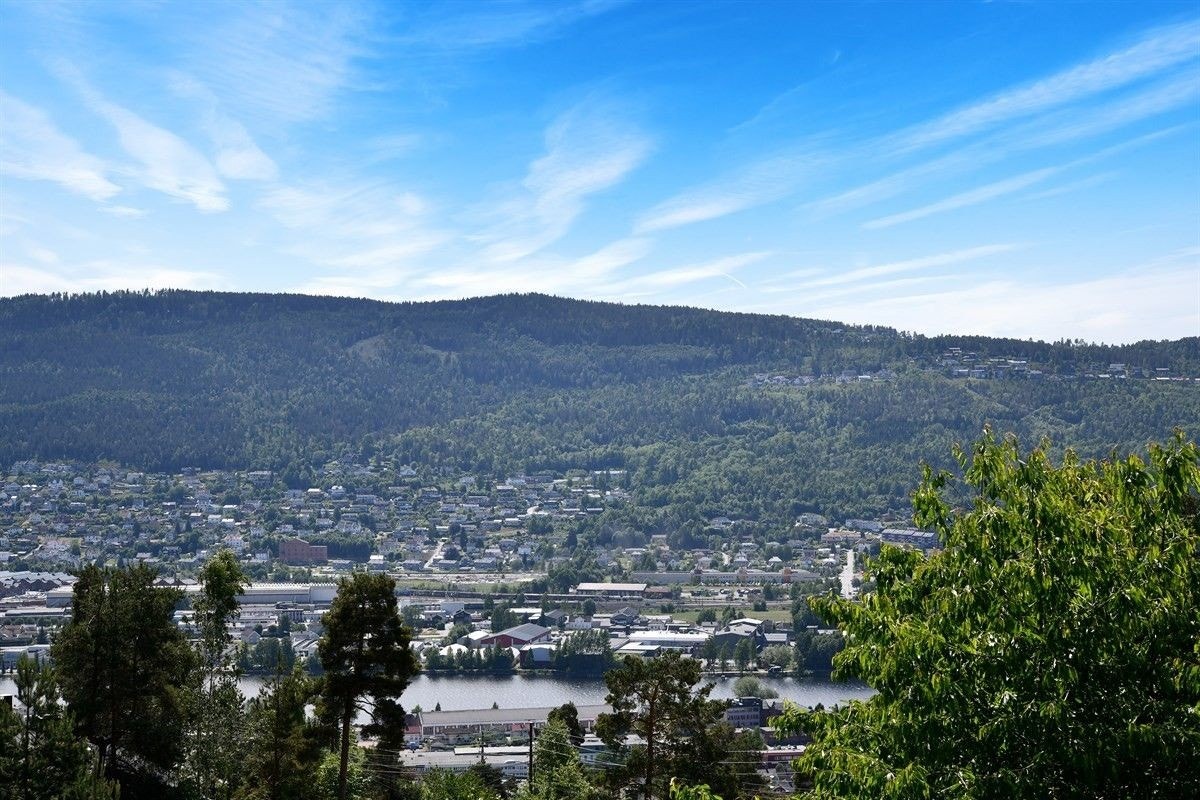 Utsikten Galleribilde