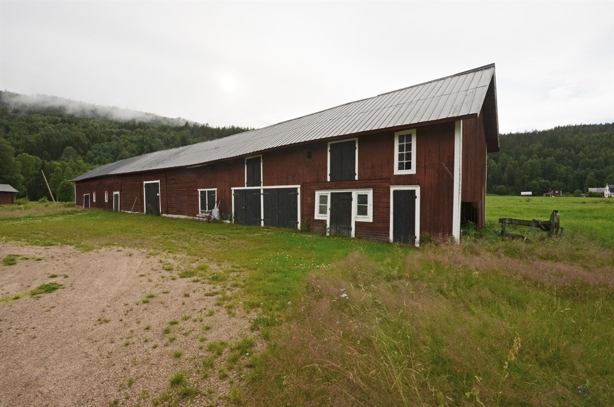 Stor og velholdt låve med fjøs, stall og utefjøs for løsgang. Galleribilde