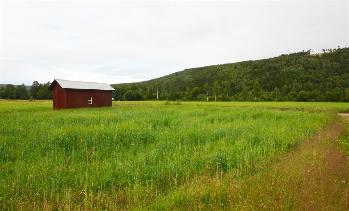 Garasje Galleribilde