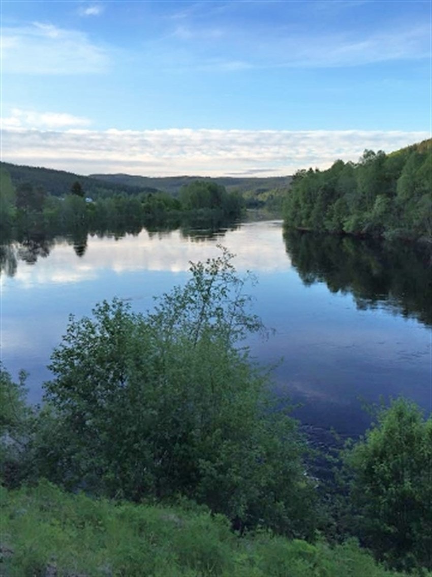 Klarälven som grenser til eiendommen Galleribilde