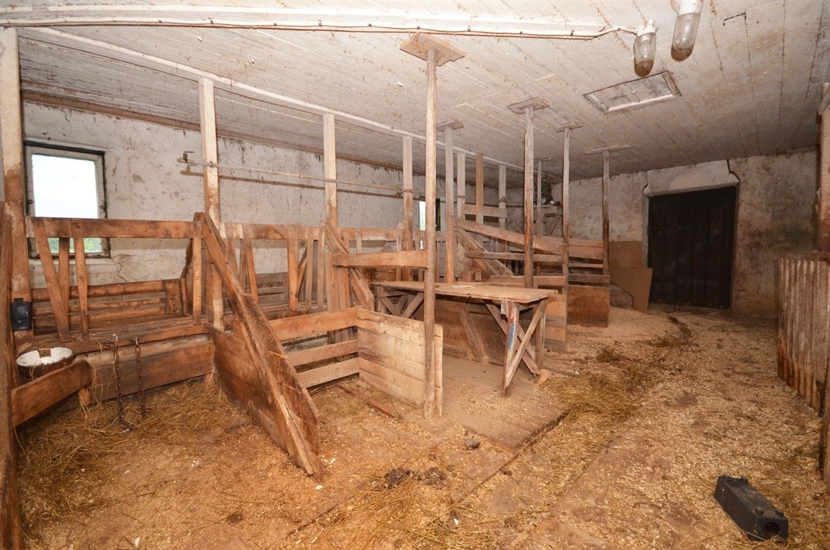 Fjøset Galleribilde