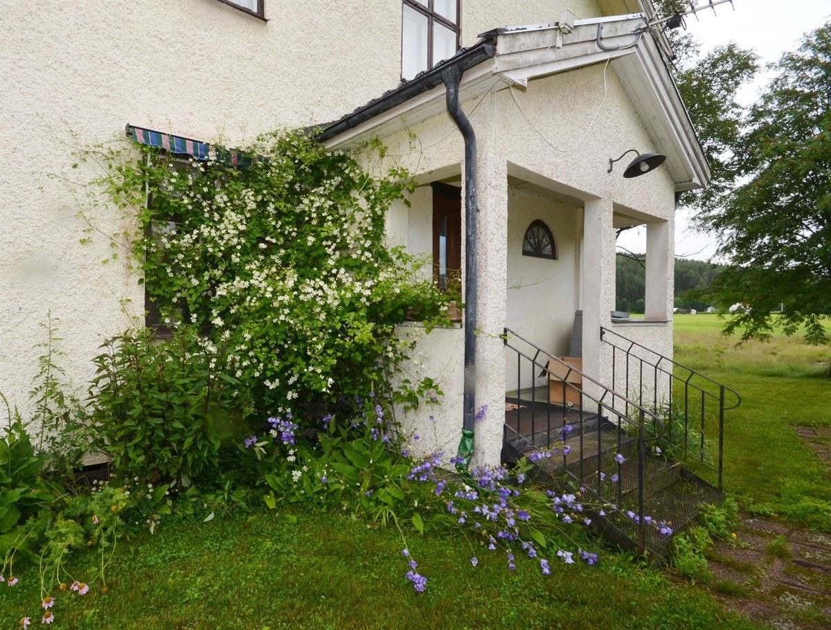 Flott beplantet ved kjøkkeninngangen. Galleribilde