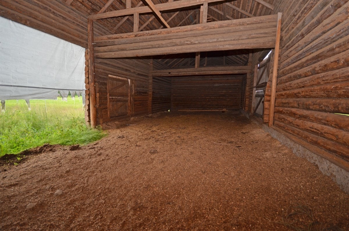 løsgangområde i låven. Galleribilde