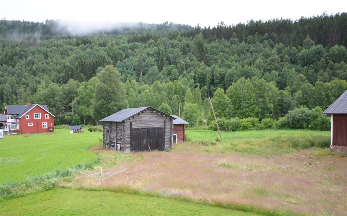 Utsikt fra veranda. Galleribilde