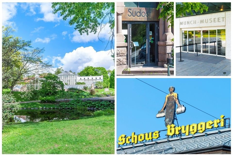 Koer vei til Botanisk Have og andre fornøyelser Galleribilde