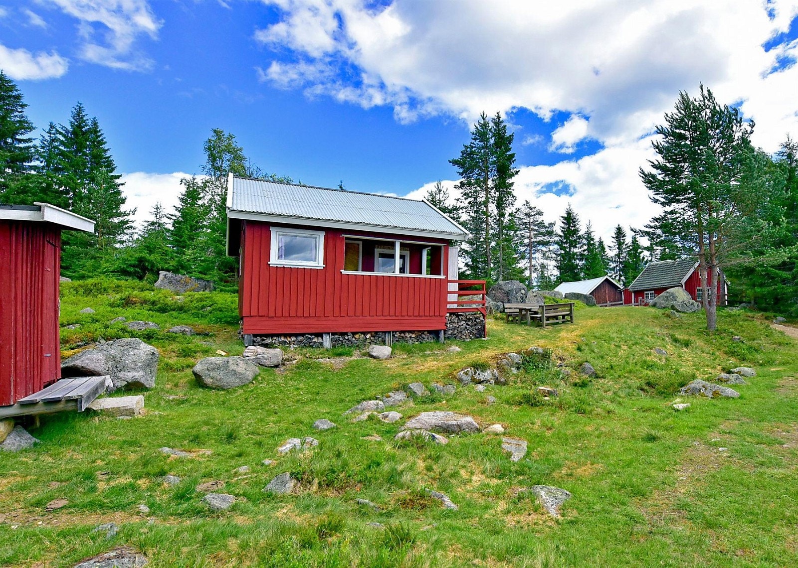 Naturtomt. Galleribilde