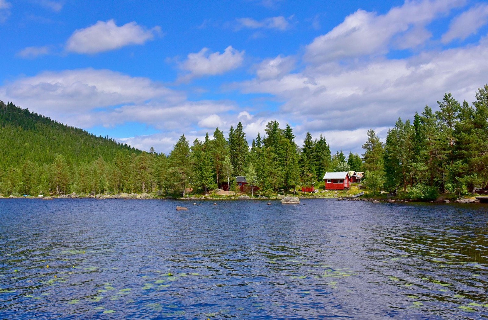 Steinsjøen er et fiske- og badevann. Galleribilde