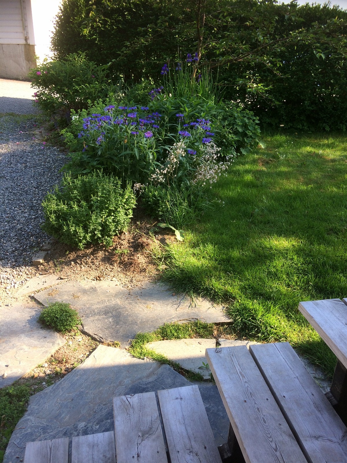 Trapp fra veranda og ned til hagen og gårdsplassen Galleribilde