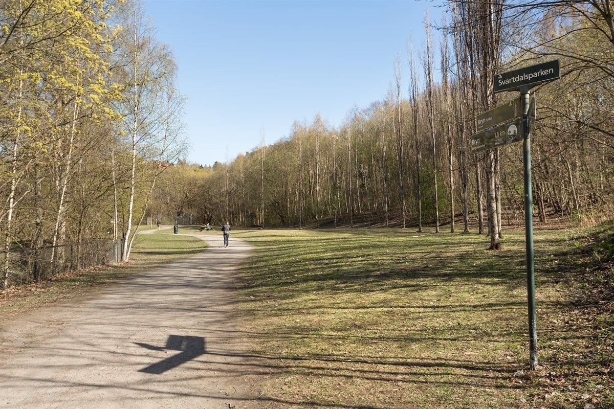 Nærmiljø Galleribilde