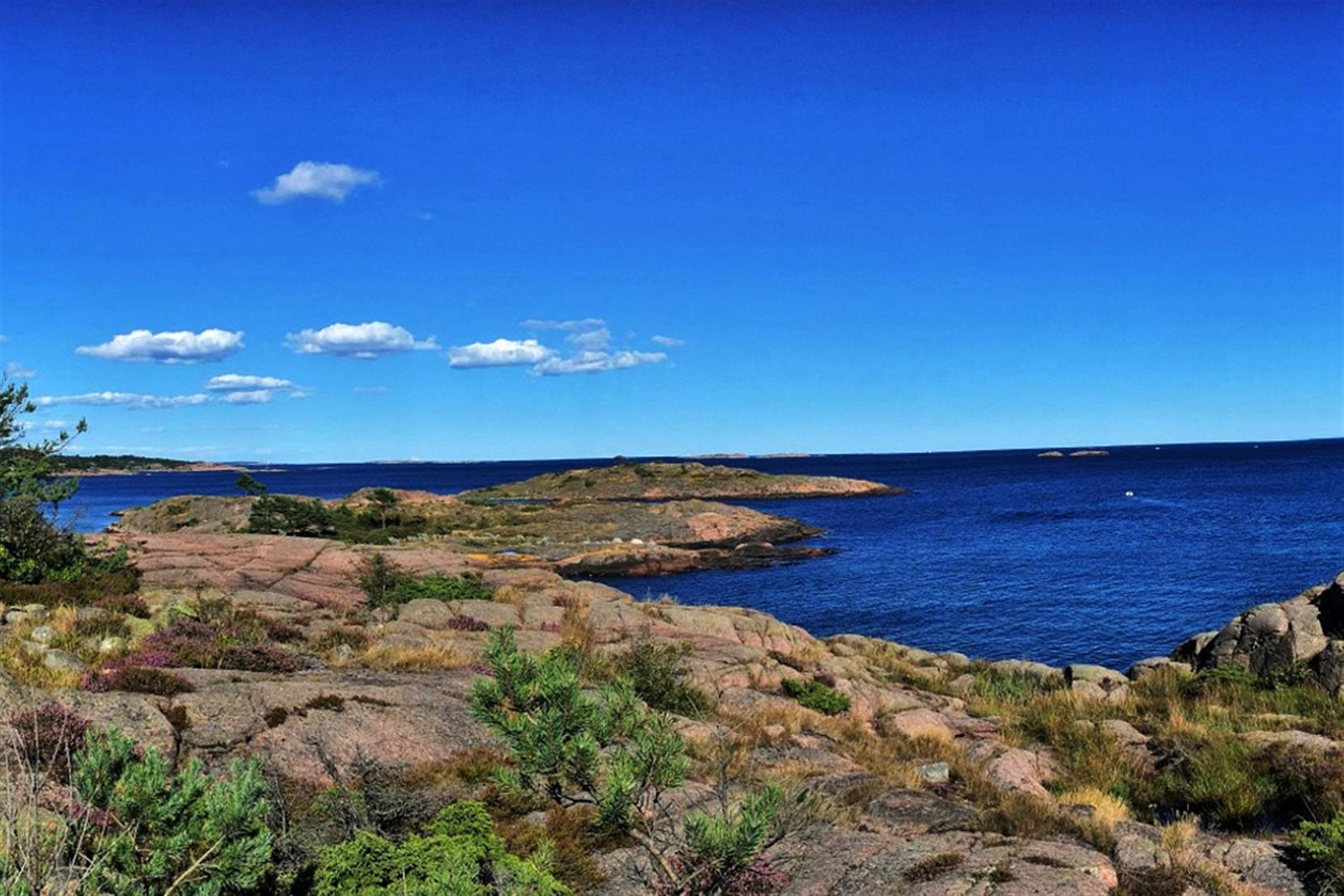 Nærmiljø! Galleribilde