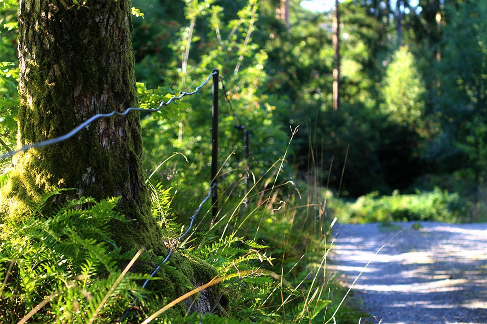 Nærmiljø! Galleribilde